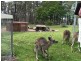 Batemans Bay NSW 2536