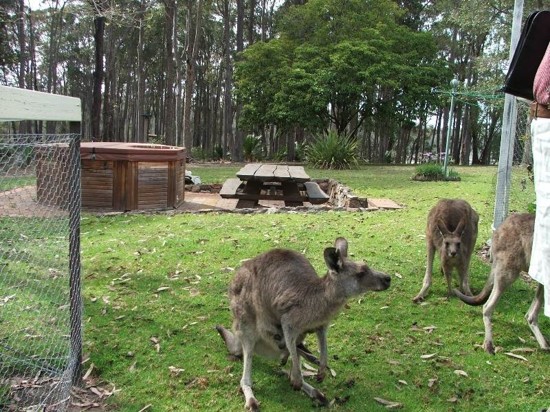 Batemans Bay NSW 2536