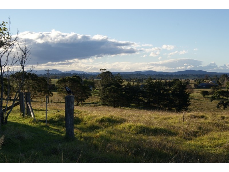 Bergalia NSW 2537
