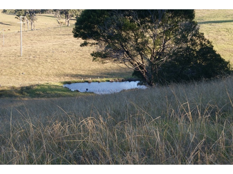 Bergalia NSW 2537