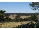 Bergalia NSW 2537