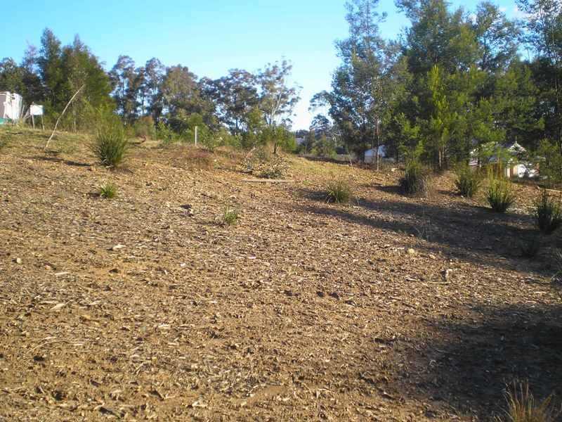 Long Beach NSW 2536