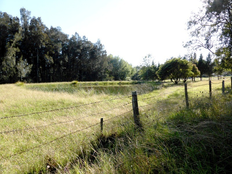 Moruya NSW 2537