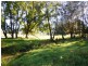 Moruya NSW 2537