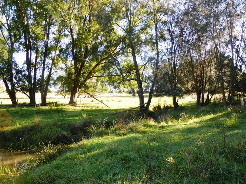 Moruya NSW 2537