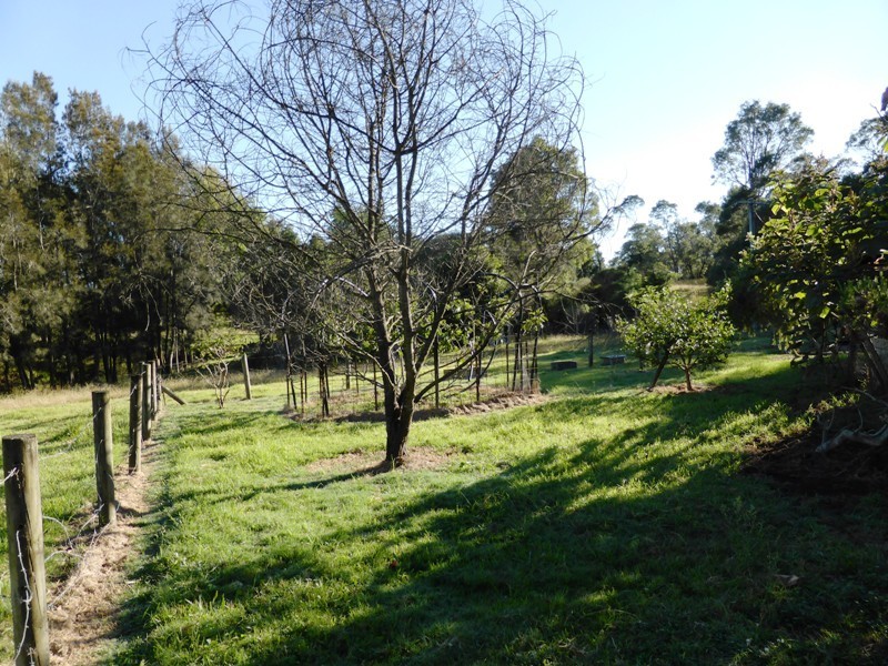Moruya NSW 2537