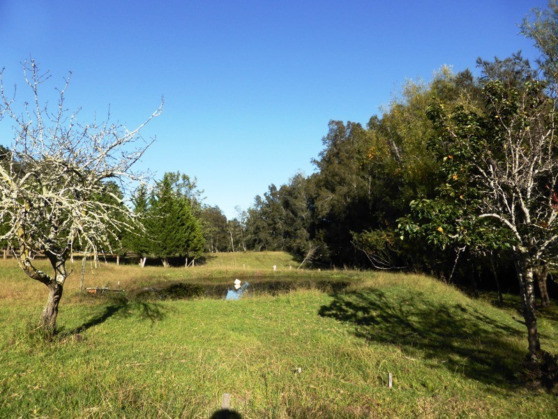 Moruya NSW 2537