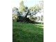 Moruya NSW 2537