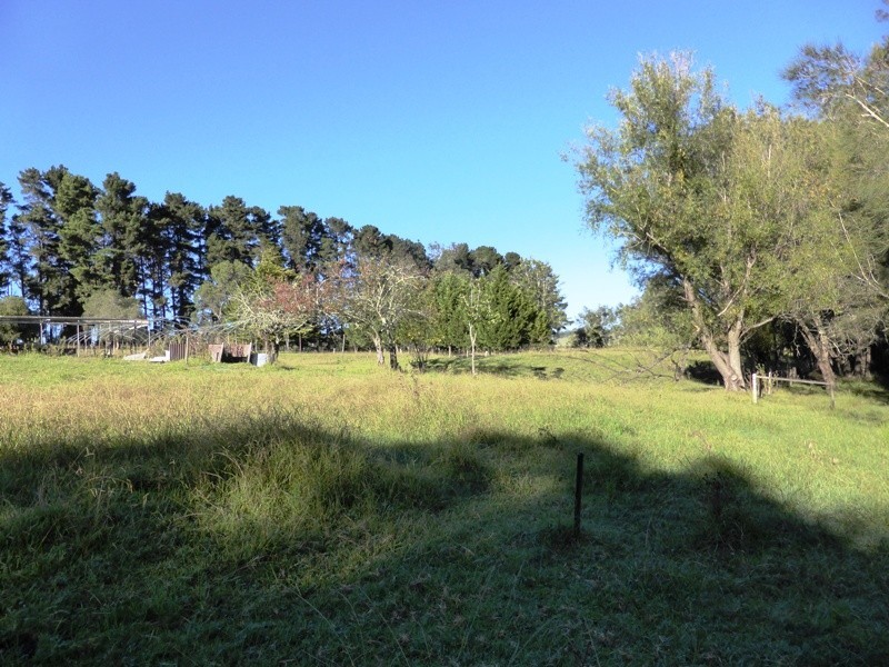 Moruya NSW 2537