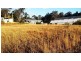 Mogo NSW 2536