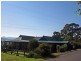 Wyndham NSW 2550