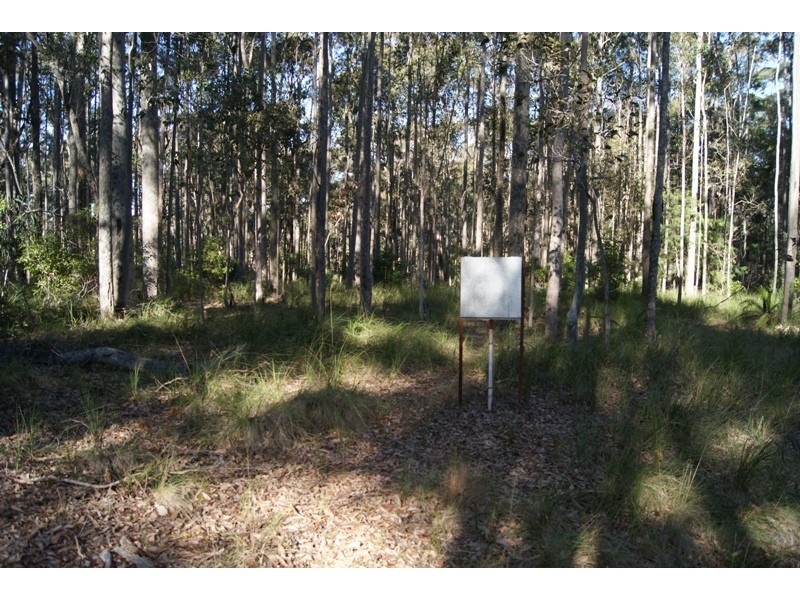 Bingie NSW 2537