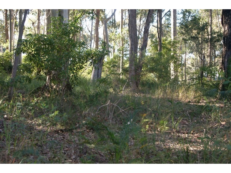 Bingie NSW 2537