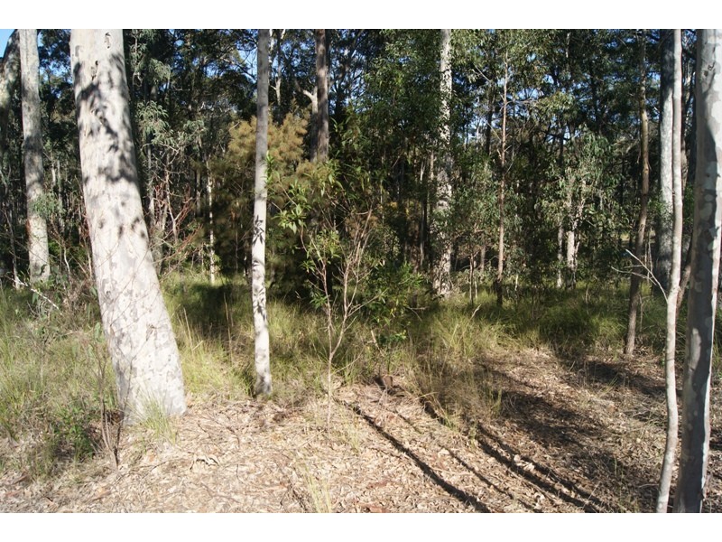 Bingie NSW 2537