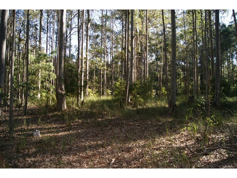 Bingie NSW 2537