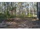 Bingie NSW 2537