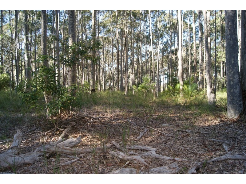 Bingie NSW 2537