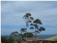 Mollymook NSW 2539