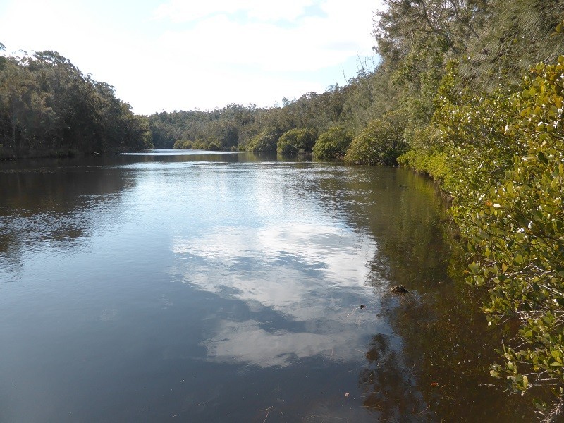 Nelligen NSW 2536