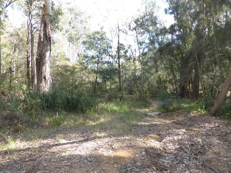 Nelligen NSW 2536