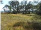 Bergalia NSW 2537