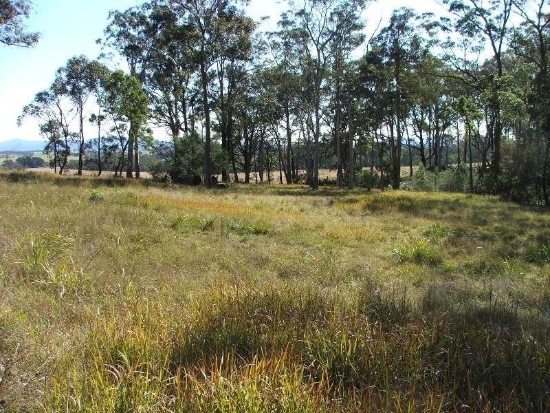 Bergalia NSW 2537