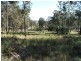 Bergalia NSW 2537