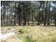 Bergalia NSW 2537