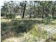 Bergalia NSW 2537