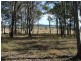 Bergalia NSW 2537