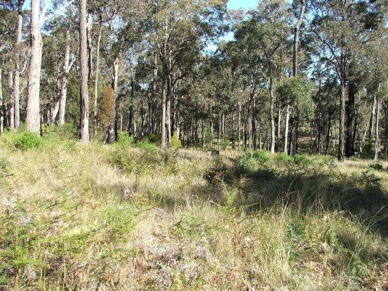 Bergalia NSW 2537