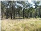 Bergalia NSW 2537