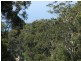 Surf Beach NSW 2536