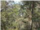 Surf Beach NSW 2536