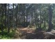 Mossy Point NSW 2537