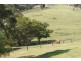 Batemans Bay NSW 2536