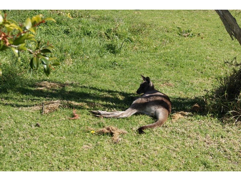 Narooma NSW 2546