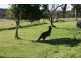 Narooma NSW 2546