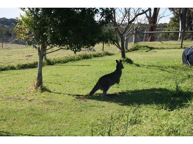 Narooma NSW 2546