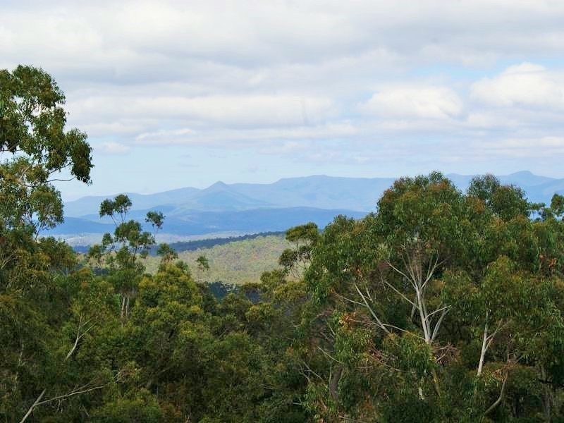 Moruya NSW 2537