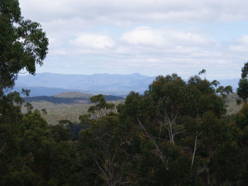 Moruya NSW 2537