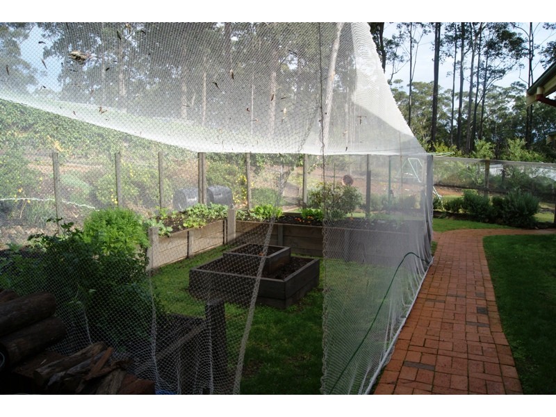 Long Beach NSW 2536