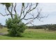 Moruya NSW 2537