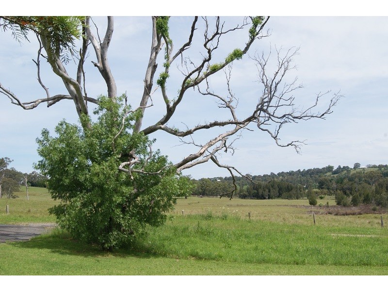 Moruya NSW 2537