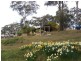 Moruya NSW 2537