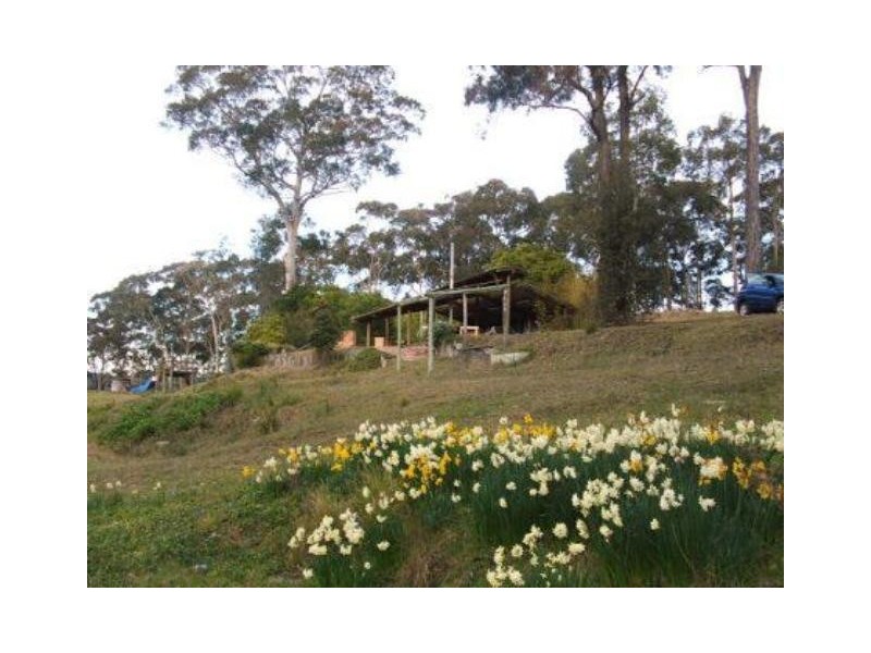 Moruya NSW 2537