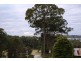 Moruya NSW 2537