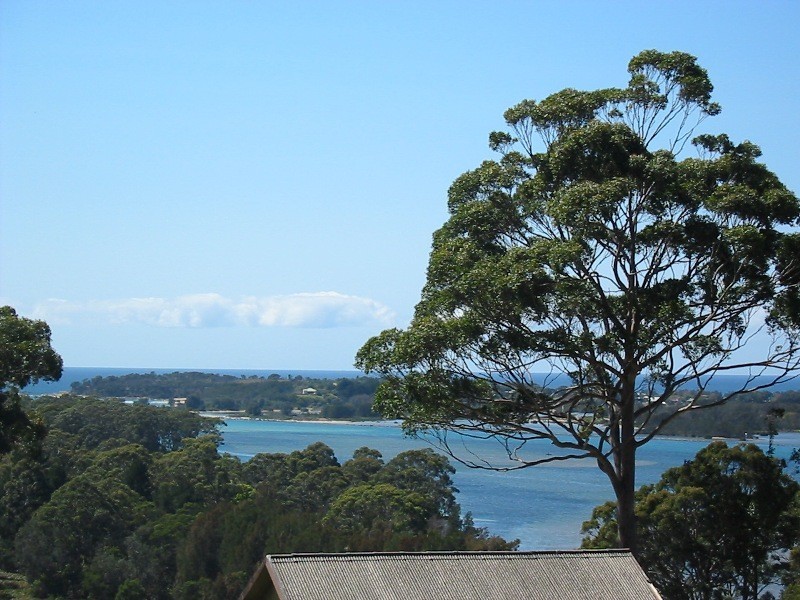 Moruya NSW 2537