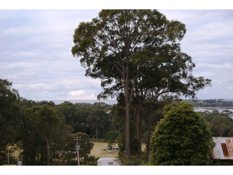 Moruya NSW 2537