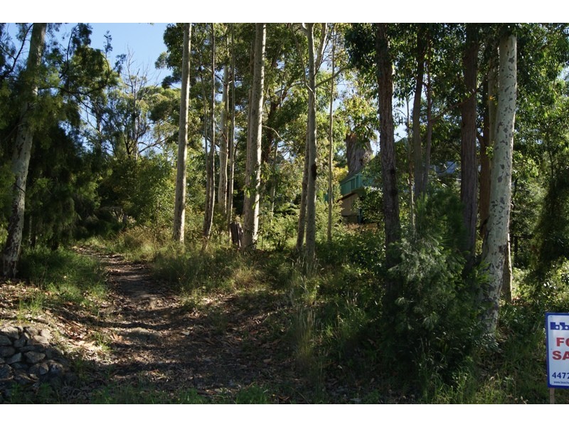Surfside NSW 2536